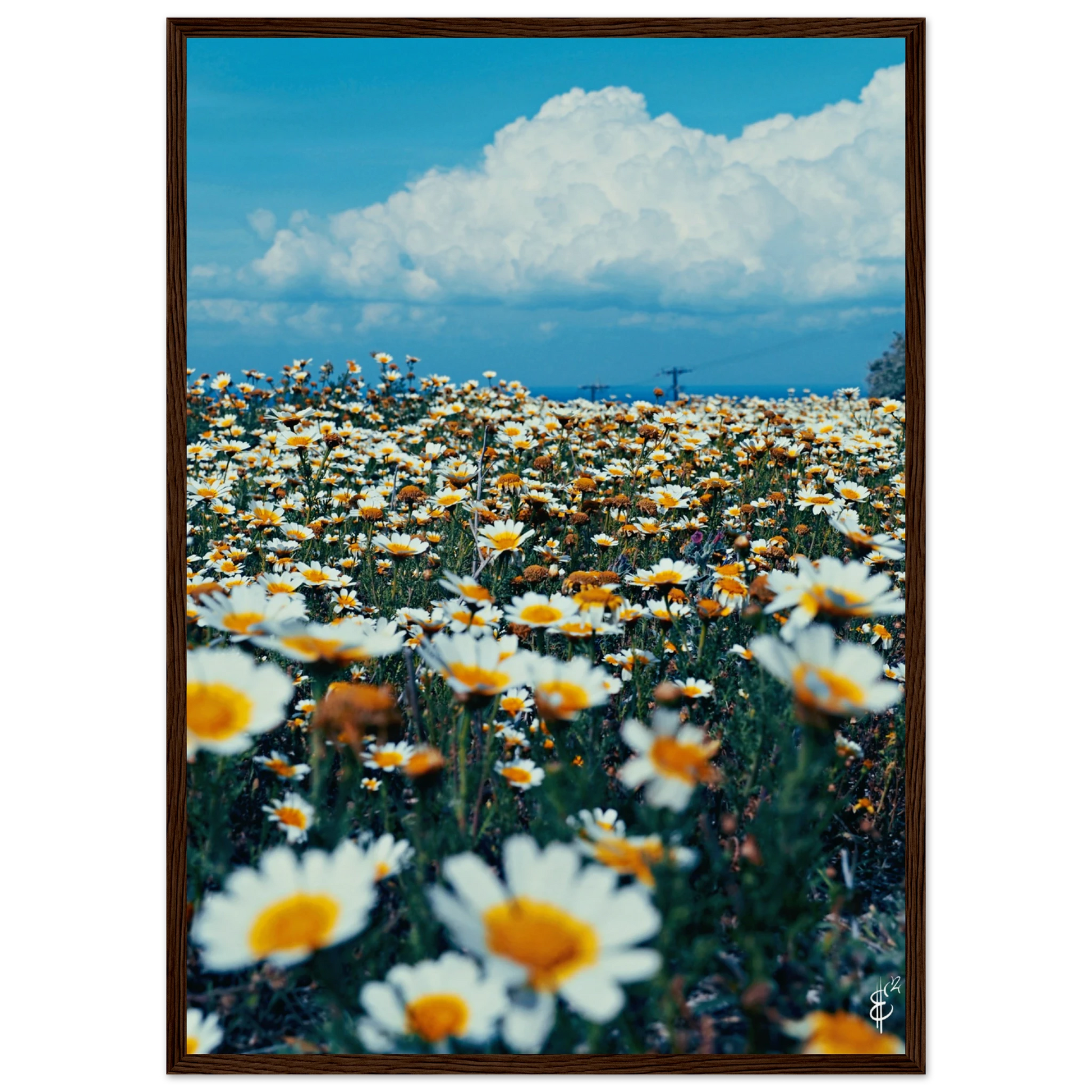 087020cf-b624-48e7-8b44-815f68688163