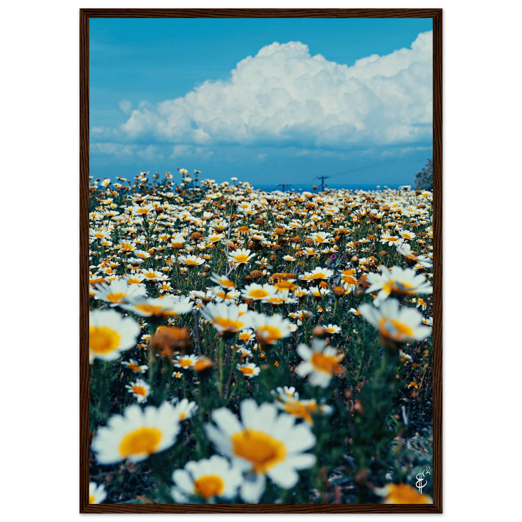 087020cf-b624-48e7-8b44-815f68688163
