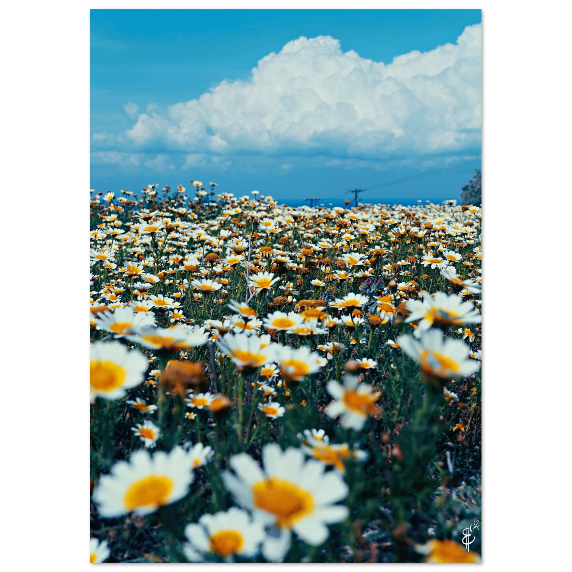 463a2019-89e0-43d7-94e2-c9f112c5b9cf