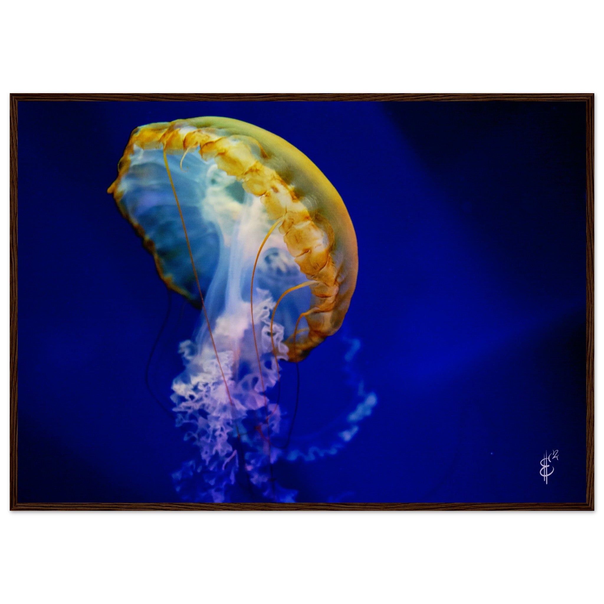 5f6ec818-5b88-4915-b07f-926990d6dea3