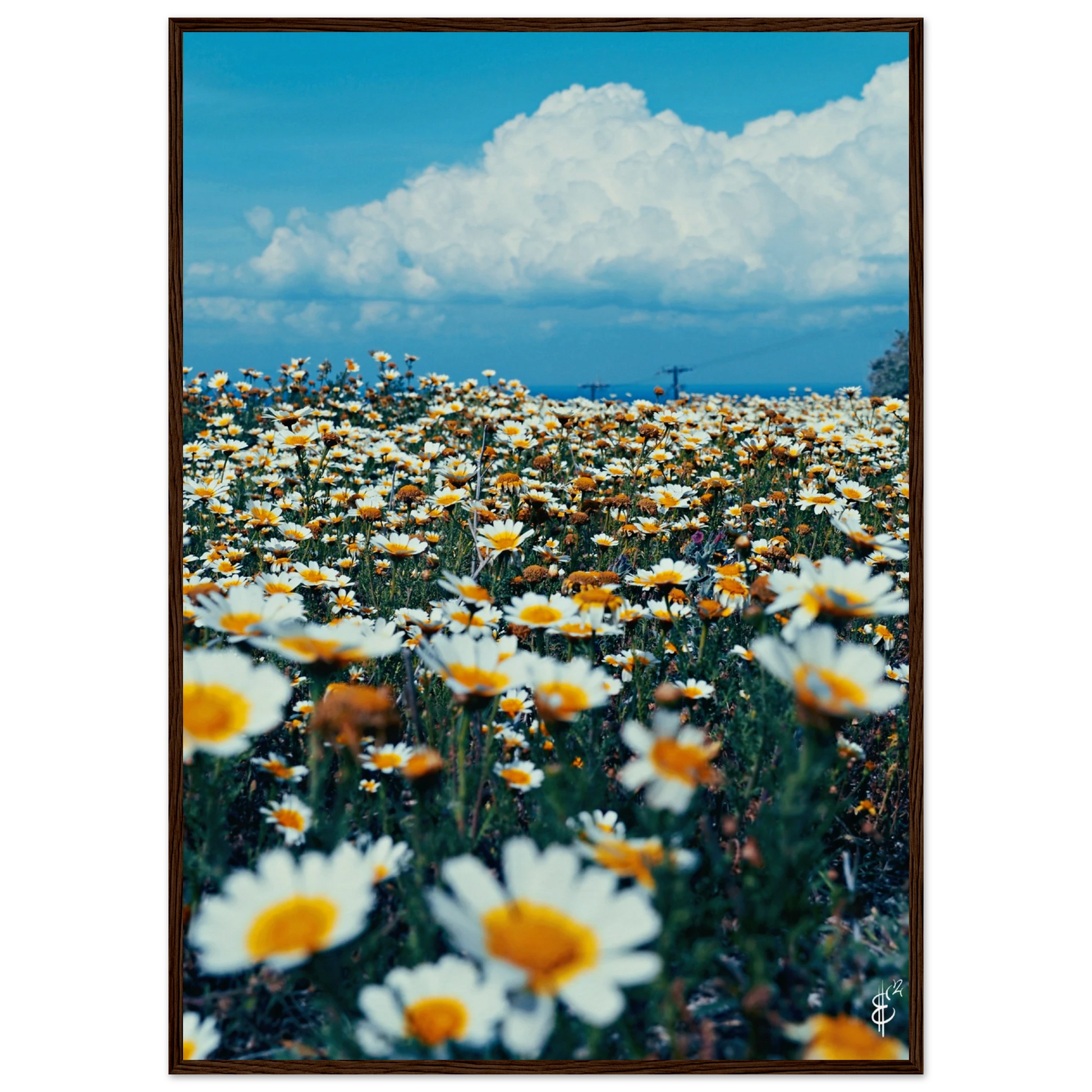 69ae95dc-dfb9-4dba-ac14-608a7bf77ce4