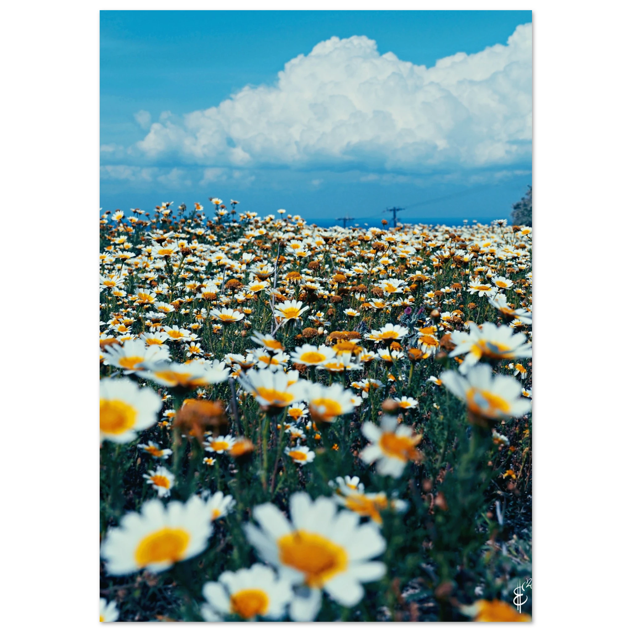 b4a8e843-65f6-42d5-967f-67eb43705b52